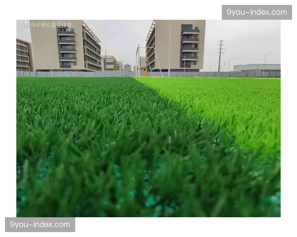 克莱蒙主场草皮完成升级,旨在提供更佳场地条件支持快速传跑 克莱蒙主场草皮完成升级,旨在提供更佳场地条件支持快速传跑